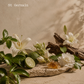 Bespoke Candle | Jade - 635g